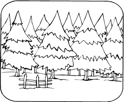 Dibujo de Pinos para colorear | Dibujos para colorear imprimir gratis