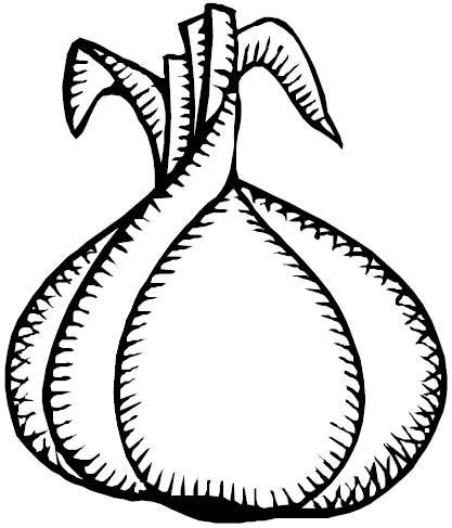 Dibujo para pintar de un ajo - Imagui