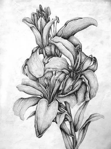 Dibujo y pintura: Dibujos a lápiz | Cosas que ponerse | Pinterest ... Dibujo y pintura: Dibujos a lápiz | Cosas que ponerse | Pinterest ...
