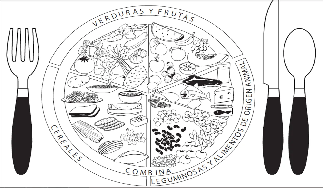 Dibujo para colorear el plato del buen comer - Imagui Dibujo para colorear el plato del buen comer - Imagui