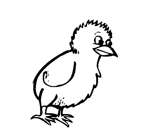 Dibujo de Pollito para Colorear - Dibujos.net