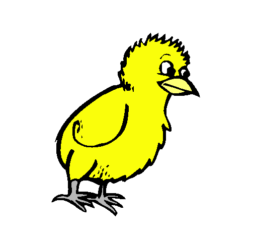 Dibujo de Pollito pintado por Amarillo en Dibujos.net el día 14-02 ... Dibujo de Pollito pintado por Amarillo en Dibujos.net el día 14-02 ...
