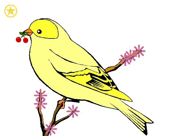 Dibujo de mi pollito pintado por Sorey en Dibujos.net el día 25-06 ... Dibujo de mi pollito pintado por Sorey en Dibujos.net el día 25-06 ...