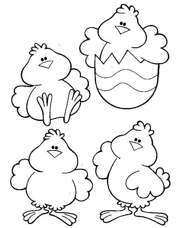 politos en su cascaron Colouring Pages