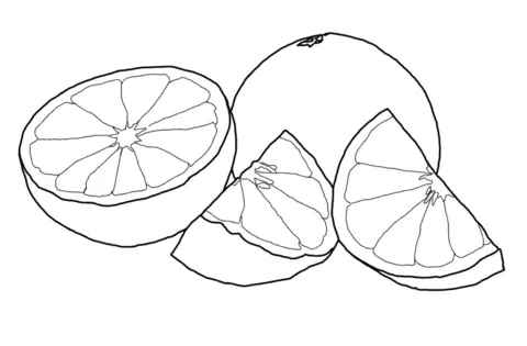 Dibujo de Pomelo para colorear | Dibujos para colorear imprimir gratis