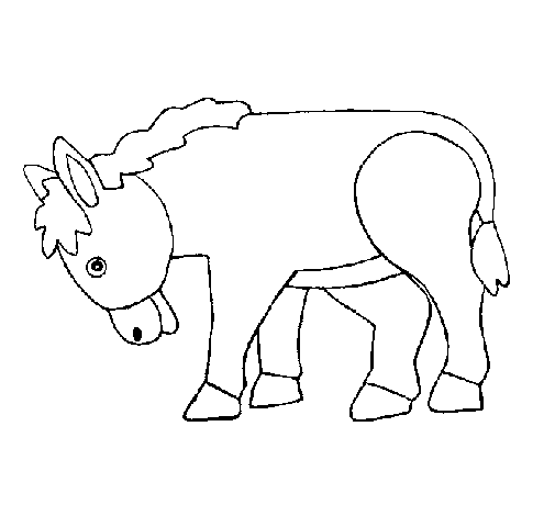 Dibujo de Poni para Colorear - Dibujos.net