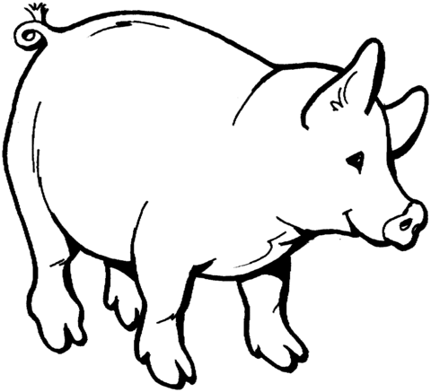 Dibujo de Puerquito Sonriente para colorear | Dibujos para ... Dibujo de Puerquito Sonriente para colorear | Dibujos para ...