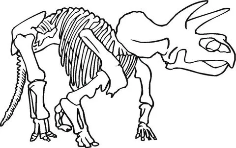 Dibujo de Solo Quedan los Huesos para colorear | Dibujos para ... Dibujo de Solo Quedan los Huesos para colorear | Dibujos para ...