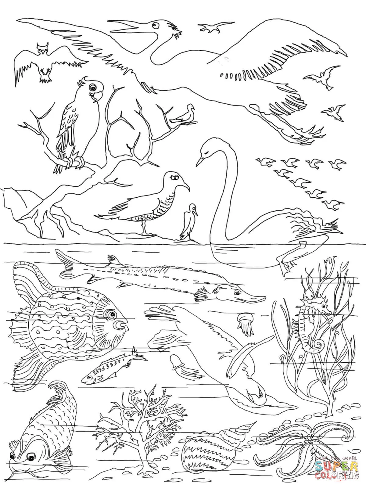 Dibujo de Quinto Día de la Creación para colorear | Dibujos para colorear imprimir gratis Dibujo de Quinto Día de la Creación para colorear | Dibujos para colorear imprimir gratis