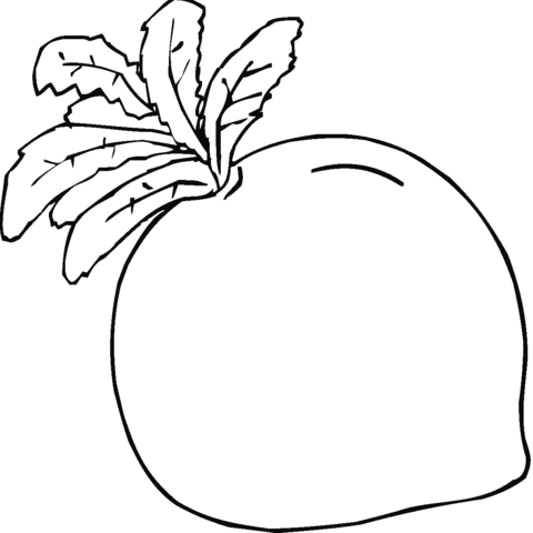 Dibujo de Un Rábano Grande para colorear | Dibujos para colorear ...