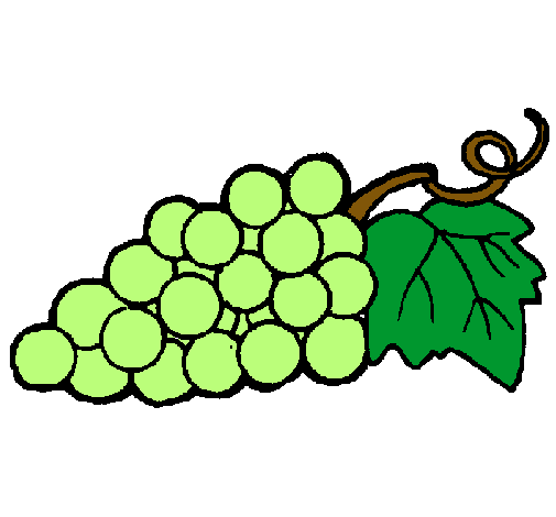 Dibujo de racimo pintado por Uvas en Dibujos.net el día 14-11-10 a ... Dibujo de racimo pintado por Uvas en Dibujos.net el día 14-11-10 a ...