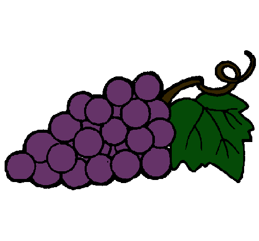 Dibujo de racimo pintado por Uvas en Dibujos.net el día 23-11-10 a ... Dibujo de racimo pintado por Uvas en Dibujos.net el día 23-11-10 a ...