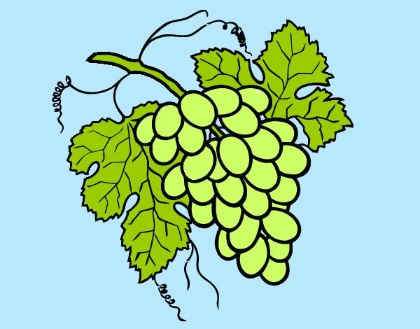 Dibujo de Racimo de uvas de fin de año pintado por Manuel99 en ...
