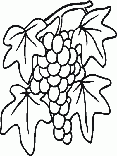 Dibujo de Racimo de uvas. Dibujo para colorear de Racimo de uvas ...