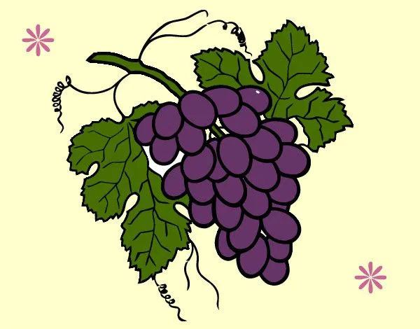 Dibujo de Racimo de uvas pintado por Sofiagarzo en Dibujos.net el ...