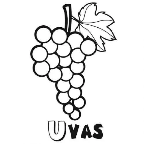 Dibujo de racimo de uvas para pintar - Dibujos para colorear de frutas