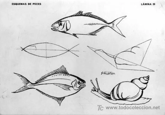 Dibujo: Ramas del dibujo.