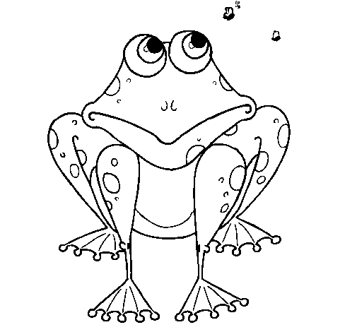 Dibujo de Rana 3 para Colorear - Dibujos.net Dibujo de Rana 3 para Colorear - Dibujos.net