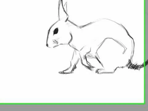 dibujo rapido .ardilla y gato.mp4 - YouTube