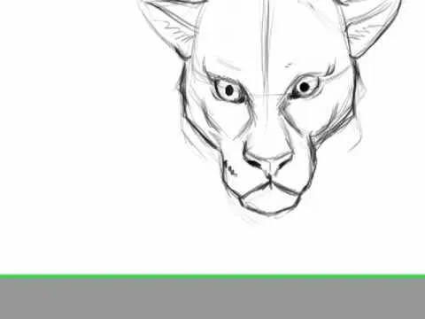 dibujo rapido felino de frente y perro.mp4 - YouTube