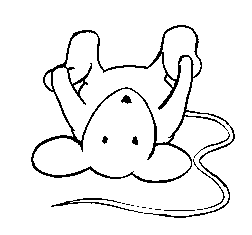 Dibujo de Rata tumbada para Colorear - Dibujos.net Dibujo de Rata tumbada para Colorear - Dibujos.net