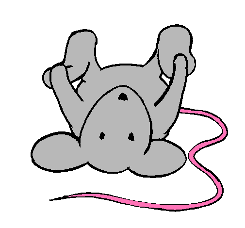 Dibujo de Rata tumbada pintado por Changos en Dibujos.net el día ... Dibujo de Rata tumbada pintado por Changos en Dibujos.net el día ...