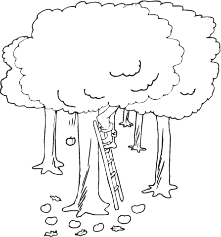 Dibujo de Recolector de Manzanas para colorear | Dibujos para ... Dibujo de Recolector de Manzanas para colorear | Dibujos para ...