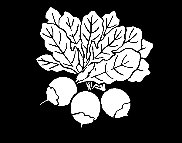 Dibujo de Tres remolachas para Colorear - Dibujos.net Dibujo de Tres remolachas para Colorear - Dibujos.net