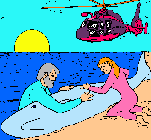 Dibujo de Rescate ballena pintado por Color en Dibujos.net el día ... Dibujo de Rescate ballena pintado por Color en Dibujos.net el día ...