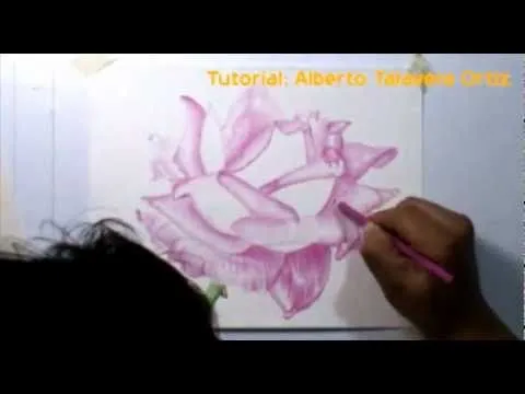 Dibujo de una rosa con lápices de color - YouTube