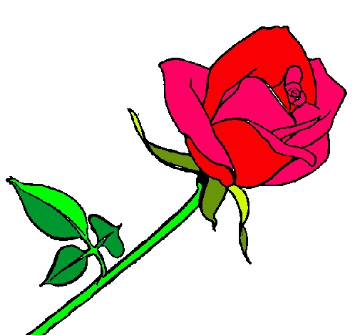 Dibujo de Rosa pintado por Chio en Dibujos.net el día 08-06-11 a ...