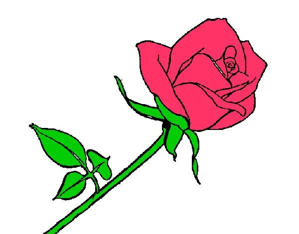 Dibujo de rosa pintado por Nickcris en Dibujos.net el día 04-03-13 ... Dibujo de rosa pintado por Nickcris en Dibujos.net el día 04-03-13 ...