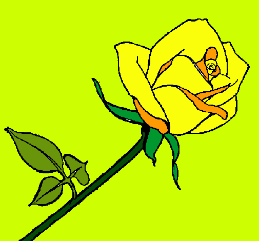 Dibujo de Rosa pintado por Piolin en Dibujos.net el día 05-01-11 a ...