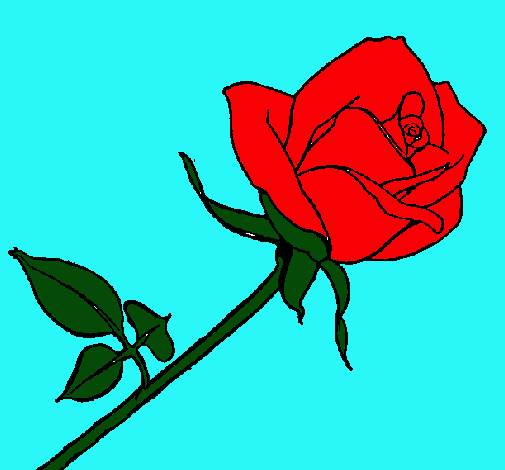 Dibujo de Rosa pintado por Rosal en Dibujos.net el día 02-04-11 a ... Dibujo de Rosa pintado por Rosal en Dibujos.net el día 02-04-11 a ...