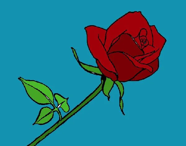 Dibujo de rosa roja pintado por Yuerina en Dibujos.net el día 15 ... Dibujo de rosa roja pintado por Yuerina en Dibujos.net el día 15 ...