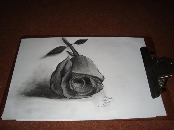 Dibujos de rosas 3D para dibujar - Imagui