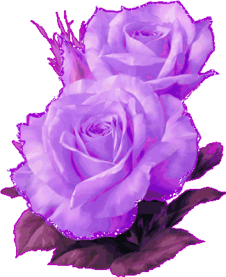 Dibujo de rosas color morado con brillos imagen #3659 - Imágenes Cool Dibujo de rosas color morado con brillos imagen #3659 - Imágenes Cool