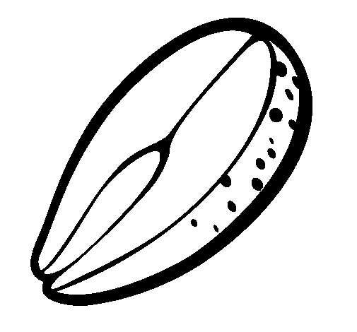 Dibujo de Salmón para Colorear - Dibujos.net Dibujo de Salmón para Colorear - Dibujos.net