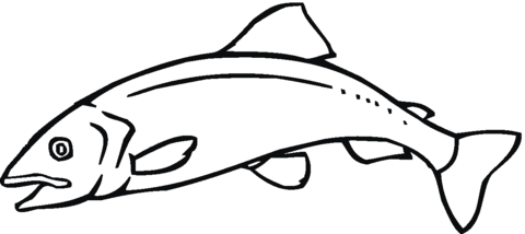Dibujo de salmon para colorear - Imagui