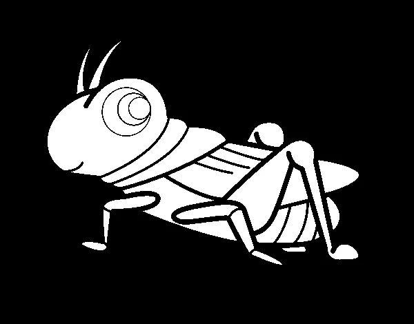 Dibujo de Saltamontes divertido para Colorear - Dibujos.net Dibujo de Saltamontes divertido para Colorear - Dibujos.net