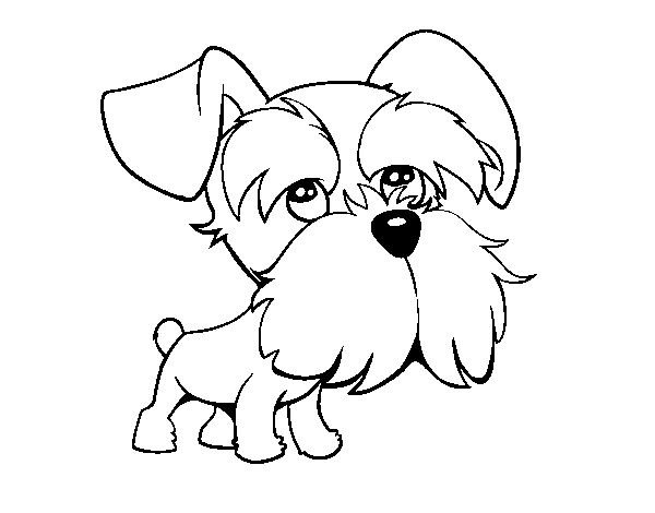 Dibujo de Schnauzer para Colorear - Dibujos.net Dibujo de Schnauzer para Colorear - Dibujos.net