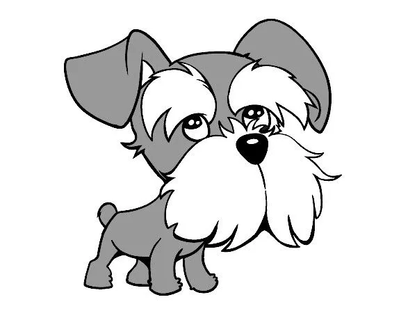 Dibujo de Schnauzer pintado por 1956bruno en Dibujos.net el día 19 ... Dibujo de Schnauzer pintado por 1956bruno en Dibujos.net el día 19 ...