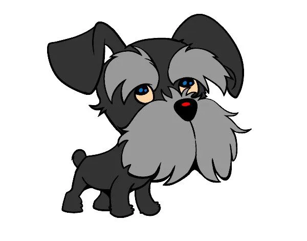 Dibujo de Schnauzer pintado por lapaho en Dibujos.net el día 12-03 ... Dibujo de Schnauzer pintado por lapaho en Dibujos.net el día 12-03 ...
