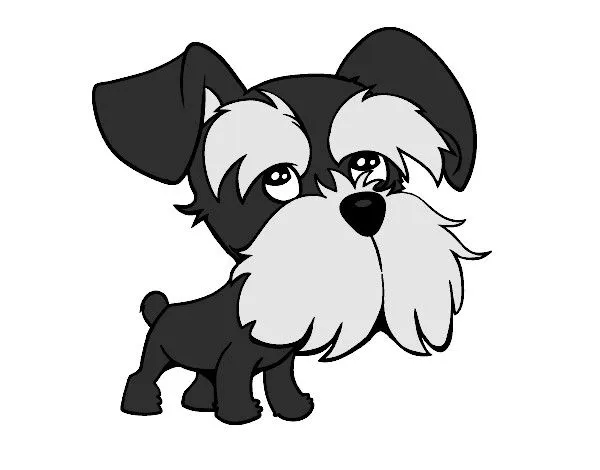 Dibujo de Schnauzer pintado por Simix en Dibujos.net el día 22-06 ... Dibujo de Schnauzer pintado por Simix en Dibujos.net el día 22-06 ...