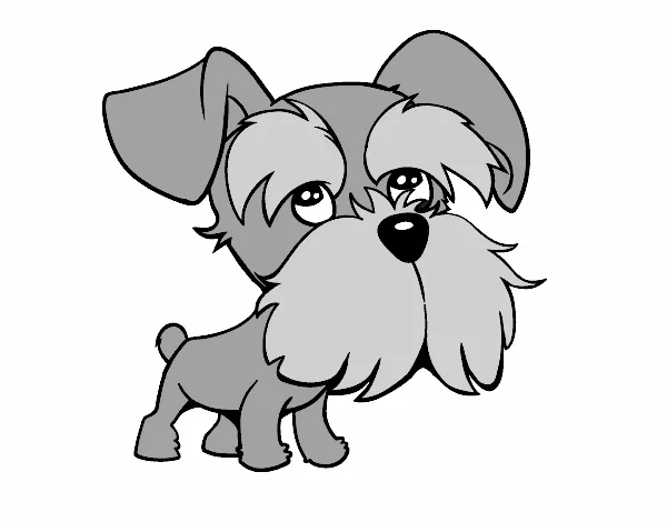 Dibujo de Schnauzer pintado por Superduper en Dibujos.net el día ... Dibujo de Schnauzer pintado por Superduper en Dibujos.net el día ...