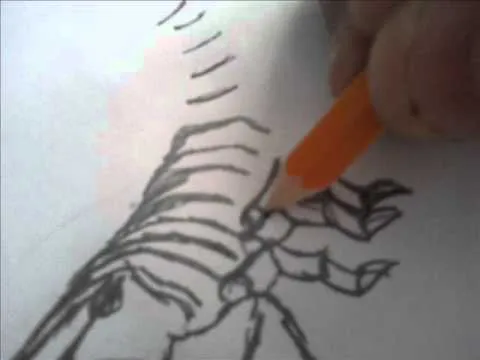 DIBUJO DE UN SCORPION..wmv - YouTube