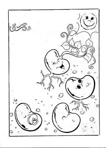 Dibujo de semillas para colorear - Imagui