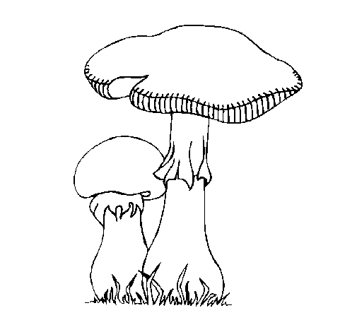 Dibujo de Setas para Colorear - Dibujos.net Dibujo de Setas para Colorear - Dibujos.net