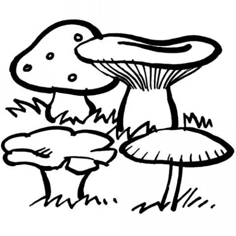 Dibujo de setas para colorear. Imágenes de alimentos Dibujo de setas para colorear. Imágenes de alimentos