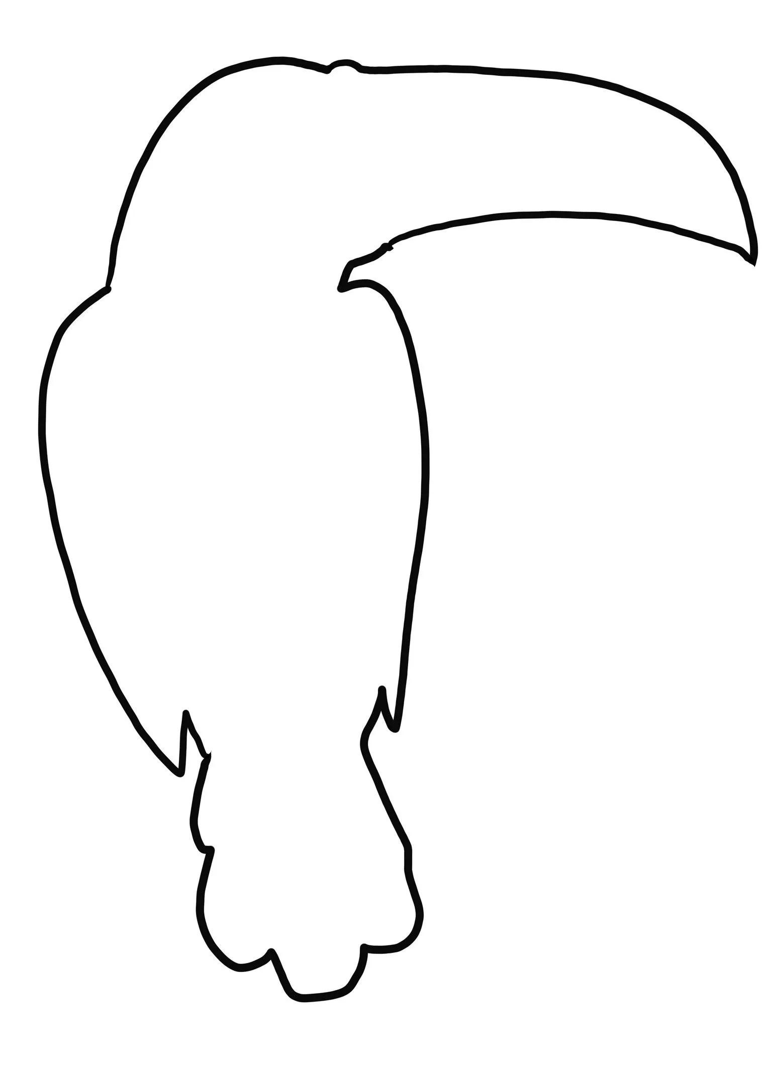 Dibujo de silueta de tucán para colorear